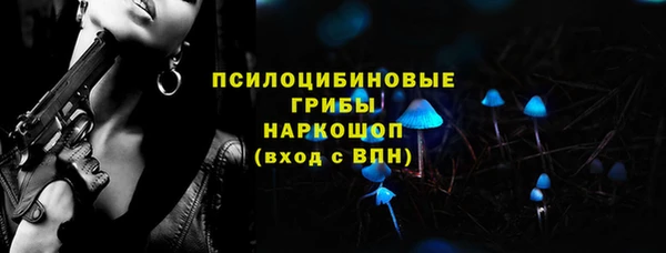 ПСИЛОЦИБИНОВЫЕ ГРИБЫ Алексин
