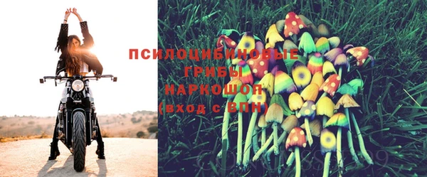 мет Алзамай