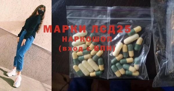 ПСИЛОЦИБИНОВЫЕ ГРИБЫ Алексин