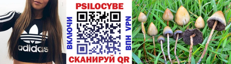 Псилоцибиновые грибы Cubensis Кинель