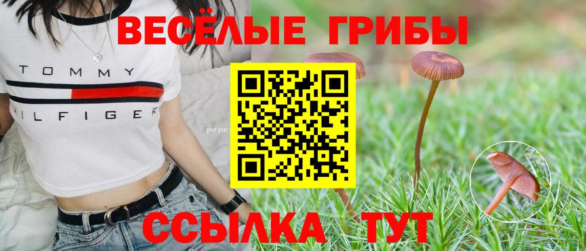 Галлюциногенные грибы мицелий  купить закладку  Вход с VPN  Кинель  Псилоцибиновые грибы прущие грибы 