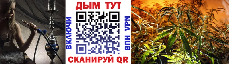 наркошоп  Кинель  Шишки марихуана конопля 